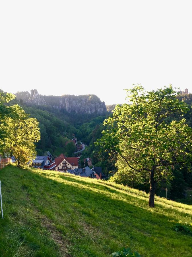Ferienwohnung Am Gruenbach Rathen Bagian luar foto